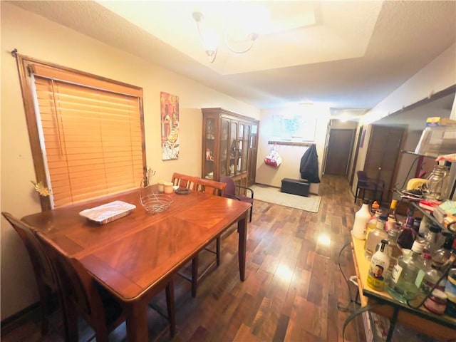 dining room featuring dark hardwood / wood-style flooring