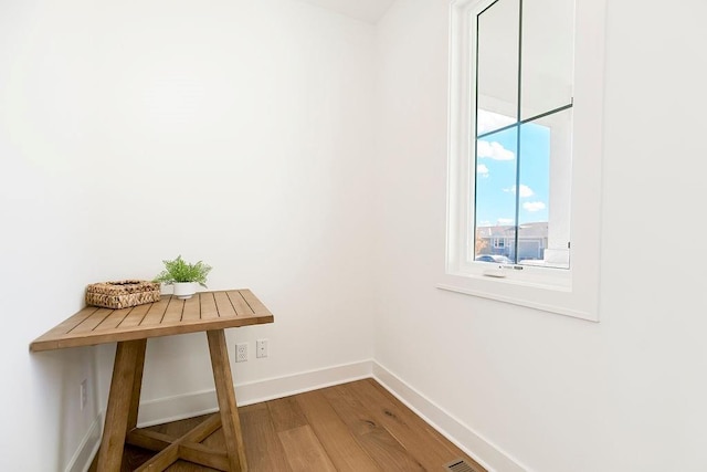 interior space with wood-type flooring