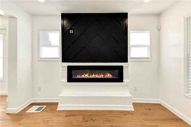 room details featuring a fireplace and hardwood / wood-style flooring