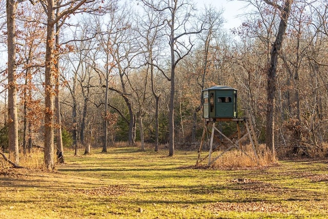 Waisner Ave, Edwards MO, 65326 land for sale