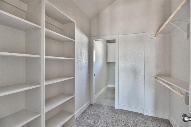 spacious closet with carpet