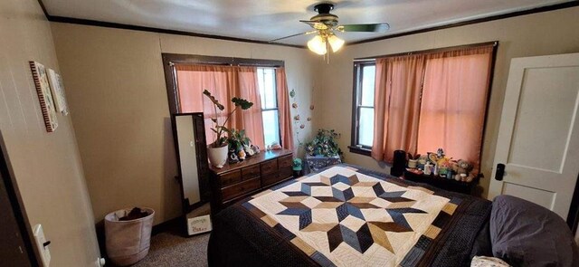 bedroom featuring ceiling fan, carpet floors, and crown molding