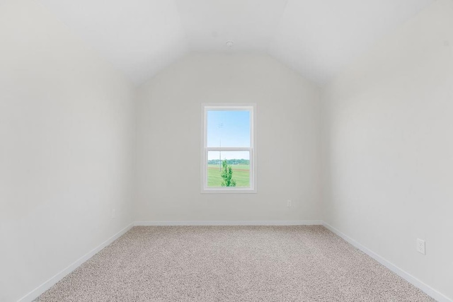 17157 W 164th Ter, Olathe, KS 66062 - bonus room featuring carpet floors and lofted ceiling