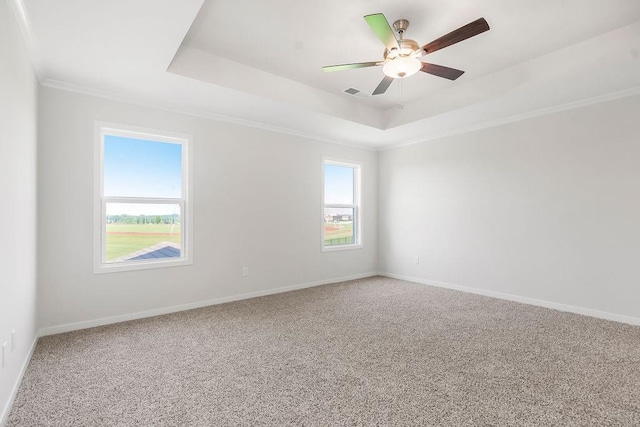 17157 W 164th Ter, Olathe, KS 66062 - carpeted empty room featuring a raised ceiling, a ceiling fan, and ornamental molding