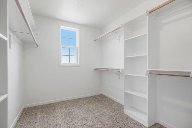 17157 W 164th Ter, Olathe, KS 66062 - spacious closet with carpet