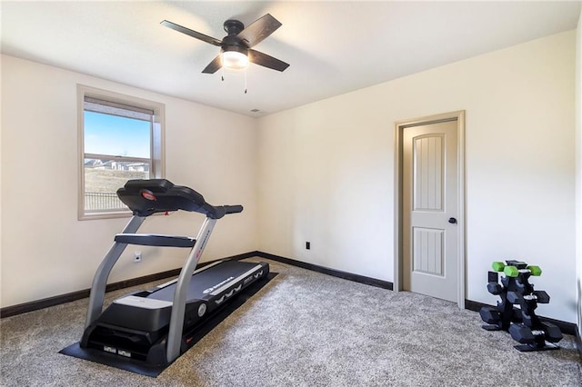 workout area featuring ceiling fan and carpet