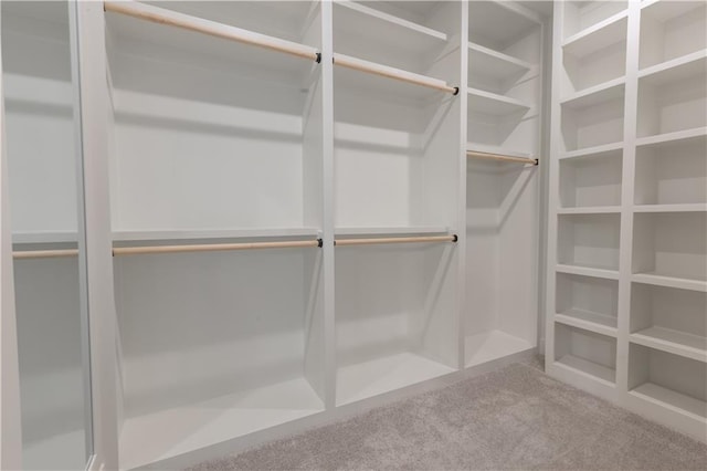 walk in closet with carpet floors