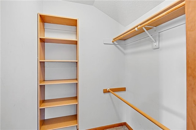 walk in closet with vaulted ceiling and carpet