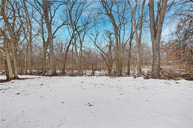 view of yard layered in snow