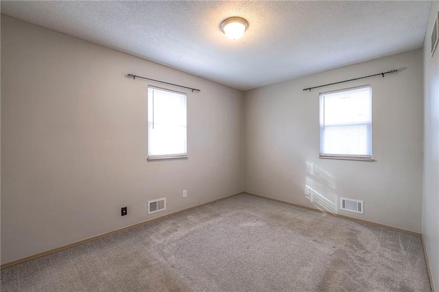 empty room with a textured ceiling, a healthy amount of sunlight, and light carpet