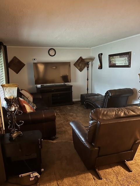 carpeted living room featuring a textured ceiling