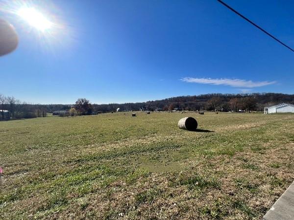 view of yard with a rural view