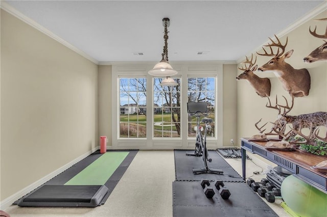 workout room featuring carpet and ornamental molding