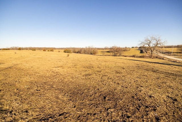 view of yard featuring a rural view