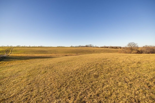 view of landscape featuring a rural view