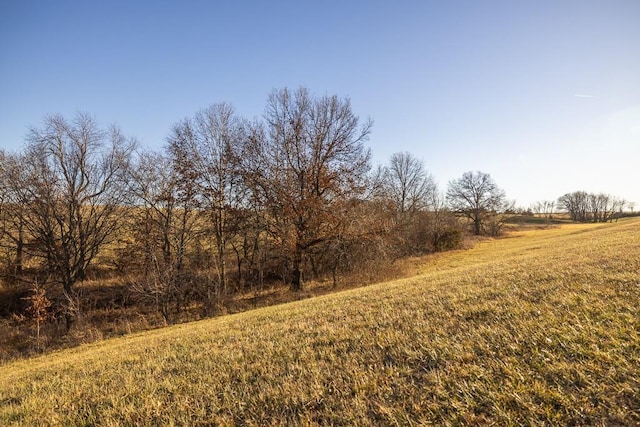 view of landscape featuring a rural view