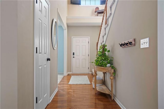 entryway featuring wood-type flooring