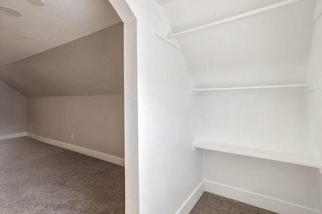 bonus room featuring carpet and vaulted ceiling