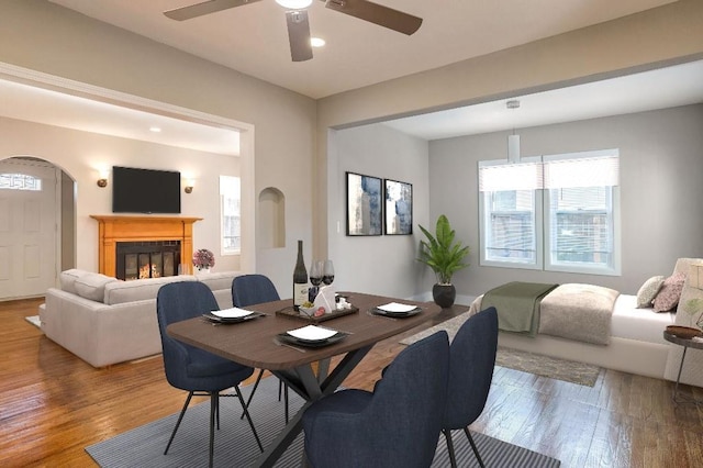 dining room featuring ceiling fan, a wealth of natural light, and light hardwood / wood-style flooring