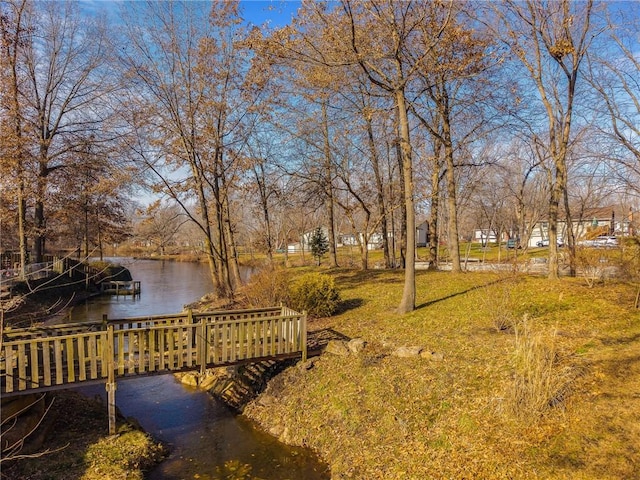 view of yard with a water view