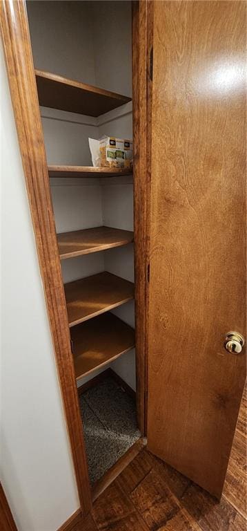 view of closet