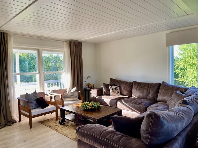 living room with wooden ceiling and light hardwood / wood-style flooring