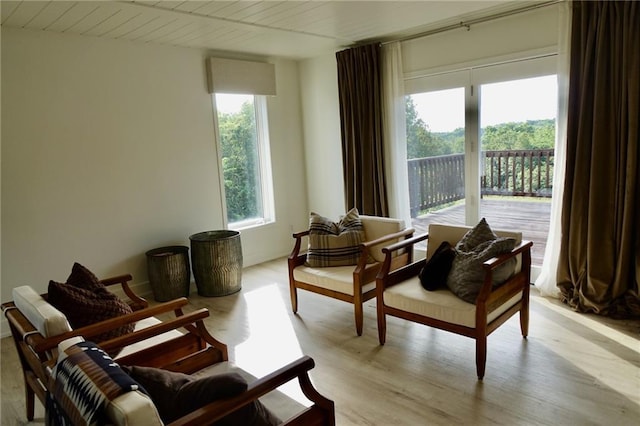 living area featuring light wood-type flooring