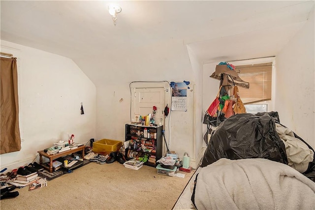 miscellaneous room with carpet flooring and lofted ceiling