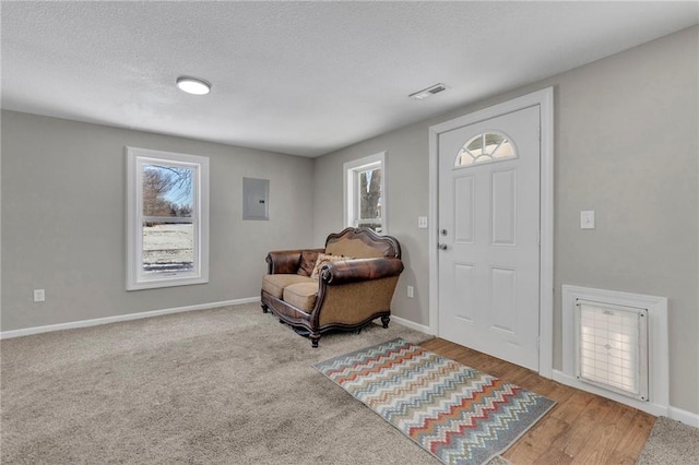 foyer entrance with electric panel