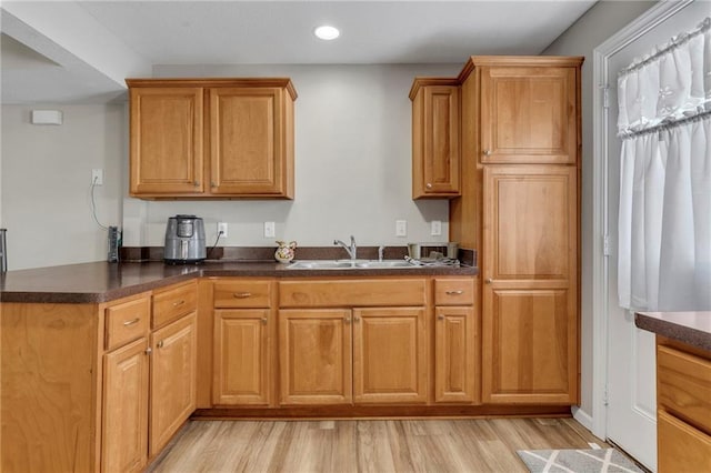 kitchen with light hardwood / wood-style flooring and sink