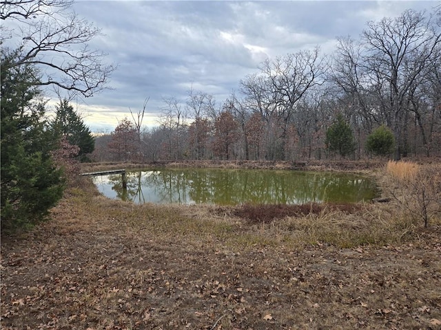 view of water feature