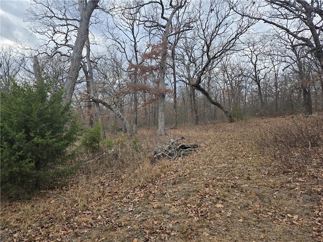 view of local wilderness