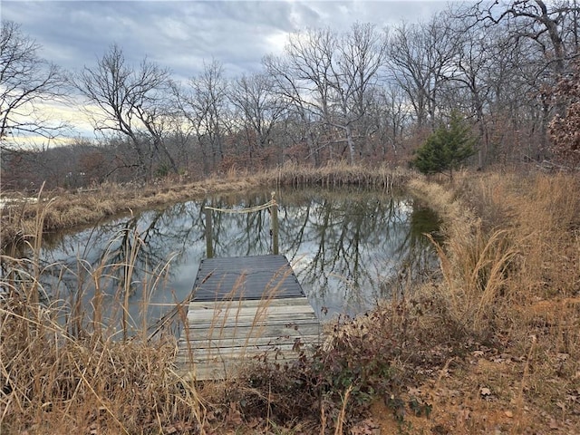 view of water feature featuring a dock