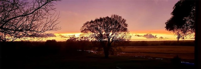 view of nature at dusk