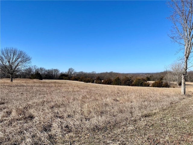 view of nature with a rural view