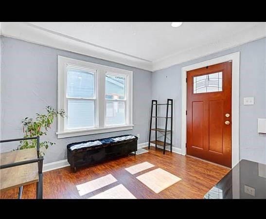 entryway featuring dark wood-type flooring