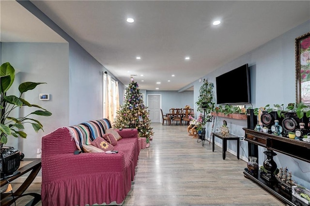 living room featuring light hardwood / wood-style flooring