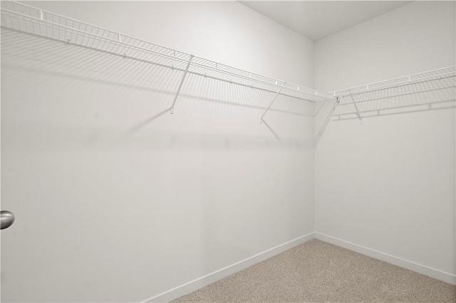 walk in closet featuring carpet