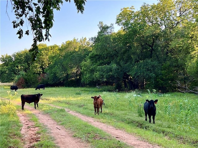 11292 NE Plumthicket Rd, Sharon, KS 67138