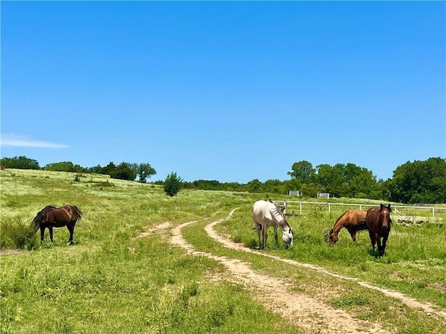 11292 NE Plumthicket Rd, Sharon, KS 67138