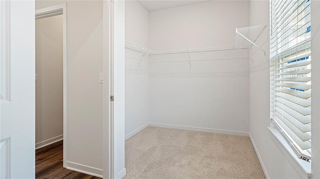 walk in closet with carpet