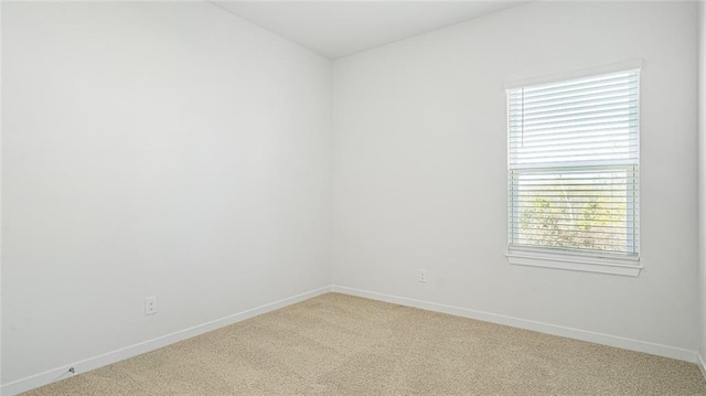 spare room with carpet floors