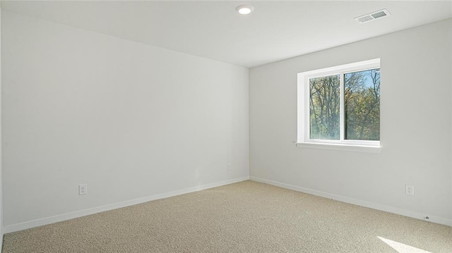 spare room with carpet floors