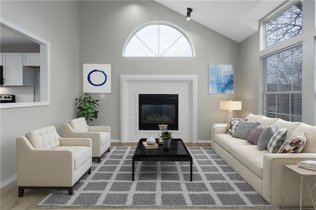 living room featuring dark hardwood / wood-style floors and high vaulted ceiling