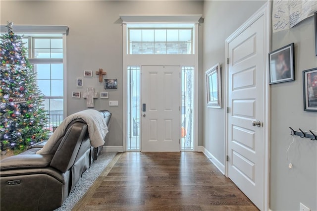 foyer entrance featuring dark hardwood / wood-style floors and a healthy amount of sunlight