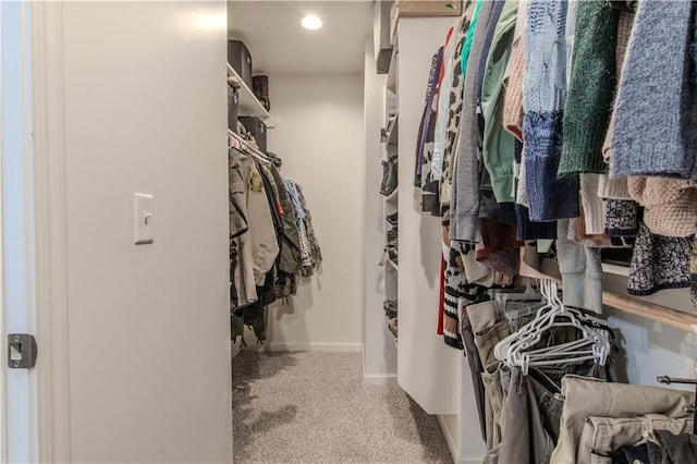 spacious closet with carpet floors