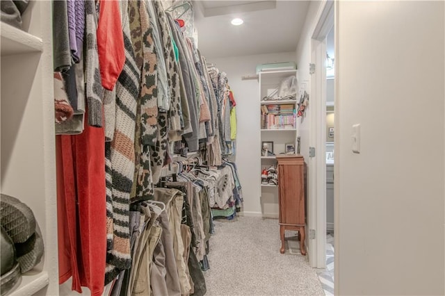 spacious closet with light carpet