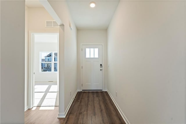 entryway with plenty of natural light and dark hardwood / wood-style floors