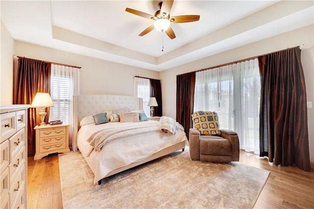 bedroom featuring ceiling fan, light wood-type flooring, multiple windows, and a tray ceiling