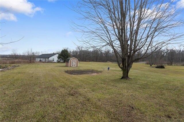 view of yard featuring a shed